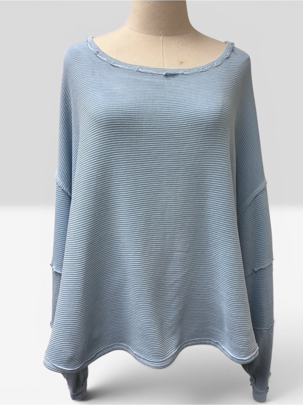 *LIKE NEW* We The Free Pale Blue Ribbed Crew Top